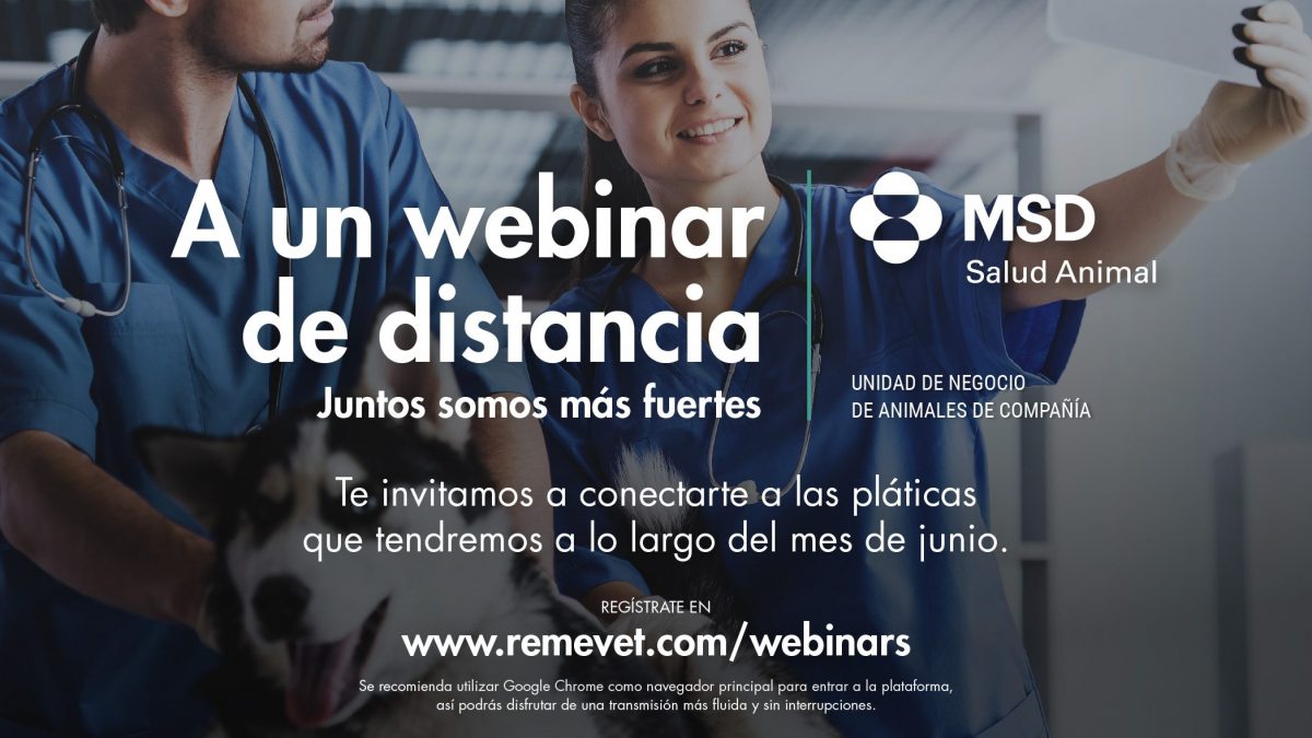 MSD Salud Animal en México ofrecerá webinars gratuitos