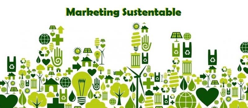 Marketing sustentable: nuestras áreas de acción
