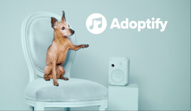 Adoptify: Serviceplan, Spotify y Tierschutzverein en Munich hacen match para unir a perros con sus dueños