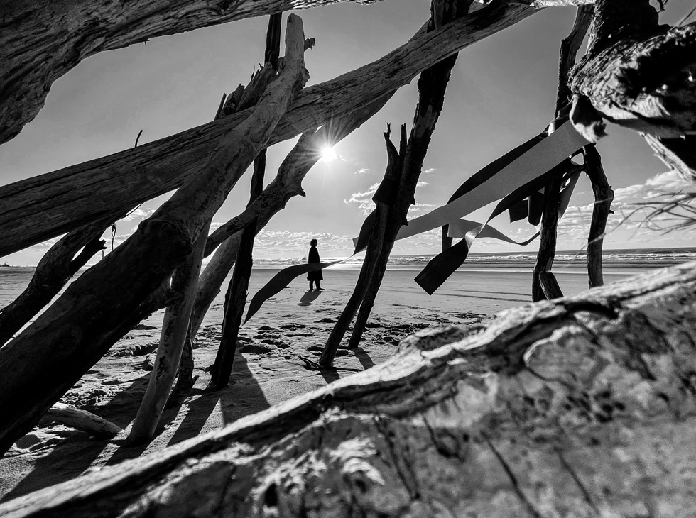 Foto en blanco y negro de una figura de pie en la playa, visible a través de un entramado de madera.